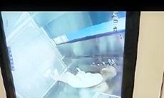 电梯监控偷拍 白衣靓妹尿急直接脱下裤子在里面尿尿貌似还想用手去擦地上的尿渍