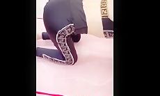 大哥不在家和极品嫂子在客厅乱伦偷情 其实早就拿下她了这次竟然扭扭捏捏不让操
