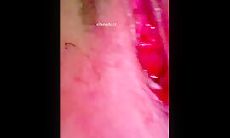 艺校女厕所大神近距离贴B拍 几个高颜值小姐姐的极品嫩鲍鱼