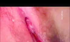 牛逼变态哥高校女厕 超近距离贴B偷拍几个学妹的嫩逼伸出上帝之手摘下妹子逼上挂着的白带