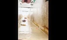 9月新流出 女厕偷拍大神西瓜沟厕系列 貌似都是些穿制服的白领颜值还可以